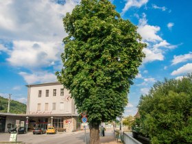 Bewegungsarena Gloggnitz Runde G3, &copy; Hartl Hannes