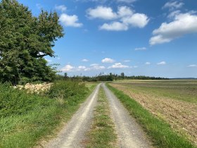 Entlang des Kaisermarterlweges, &copy; Marktgemeinde Echsenbach