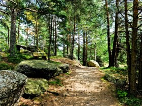 Naturpark Nordwald, &copy; POV