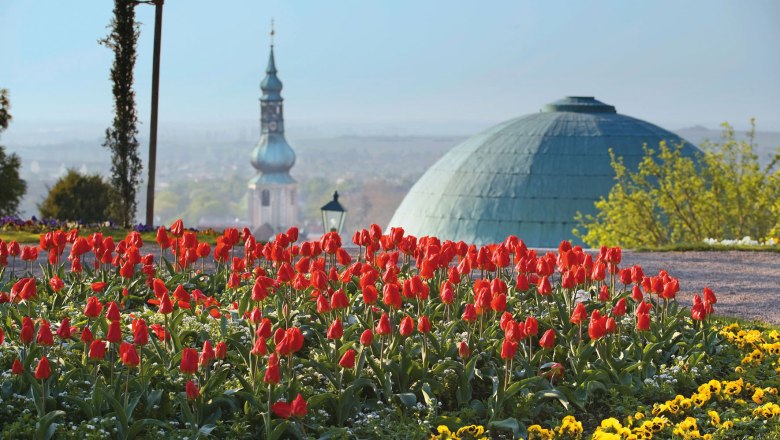 baden_lammerhuber, &copy; Lois Lammerhuber