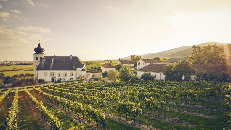 Věrný průvodce po oblasti Thermenregion: víno - zde ve městě Thallern, © Andreas Hofer