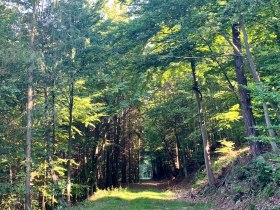 Der Rossatzbacher Seegraben bei der Adeleh&uuml;tte, &copy; Radler-Rast