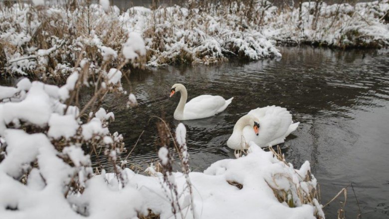 Forst Kienberg Winter (c)Forst Kienberg (15), &copy; Forst Kienberg