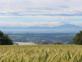 Kneippweg, &copy; Unknown