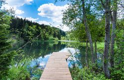 Letecký pohled na moderní dům se zelenou střechou, obklopený lesem a jezerem.