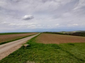 Weingarten-Runde, &copy; Gemeinde Ru&szlig;bach