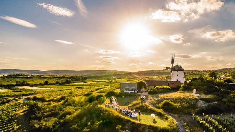 Slavnostní stolovaní v regionu Weinviertel, © Weinviertel Tourismus, Robert Herbst