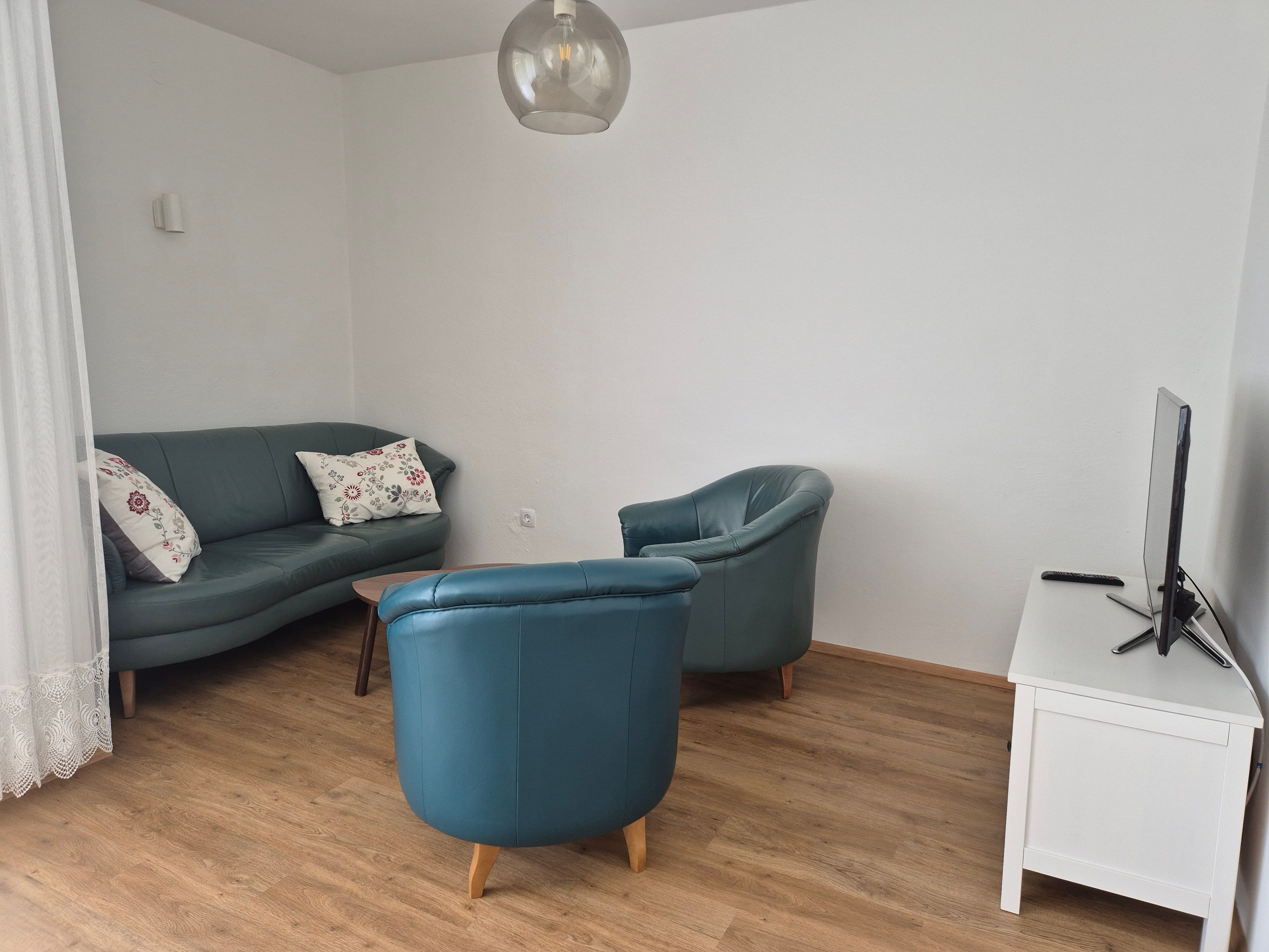 Obývací pokoj s modrou pohovkou, dřevěnou podlahou a televizí.