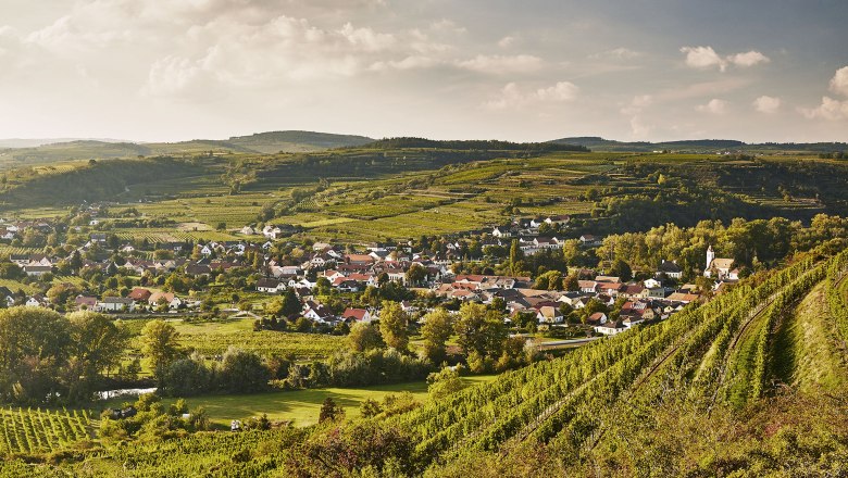 Vinařská stezka Kamptal, © Robert Herbst