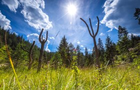 Tematick&aacute; stanice s dřevěn&yacute;mi figurkami