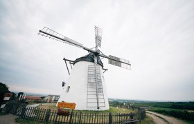 Euro Velo 13 Windmühle Retz WTG Gollner 2, © Weinviertel Tourismus / Gollner