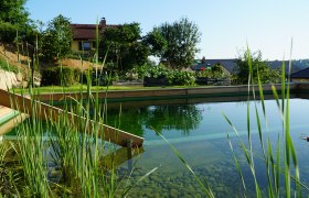 Swimming pond, © Karin Ruthner