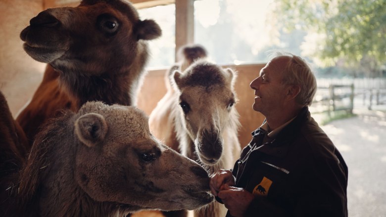 City of Haag Zoo, &copy; Moststra&szlig;e, dochbodnliacht