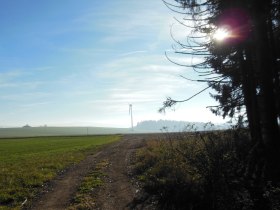 Hubertusweg, &copy; Marktgemeinde Ottenschlag