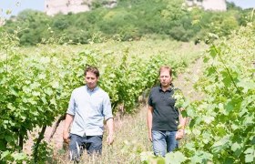 2 brothers, © Weingut Pesau