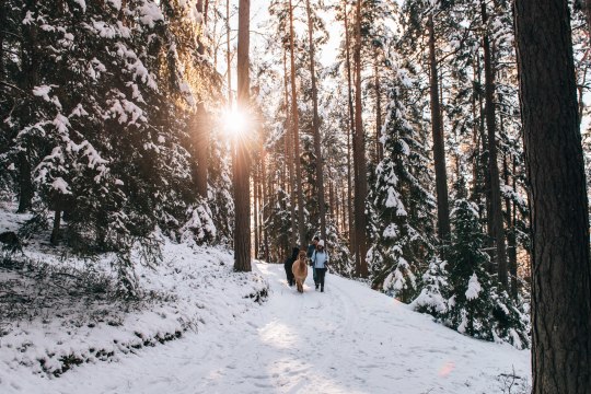 Pusťte vodítka! Zimní turistika s chlupatými přáteli., © Waldviertel Tourismus/sommertage.com