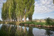 Thermenradweg - Wiener Neustädter Kanal, © Wienerwald Tourismus GmbH_Raimo Rudi Rumpler