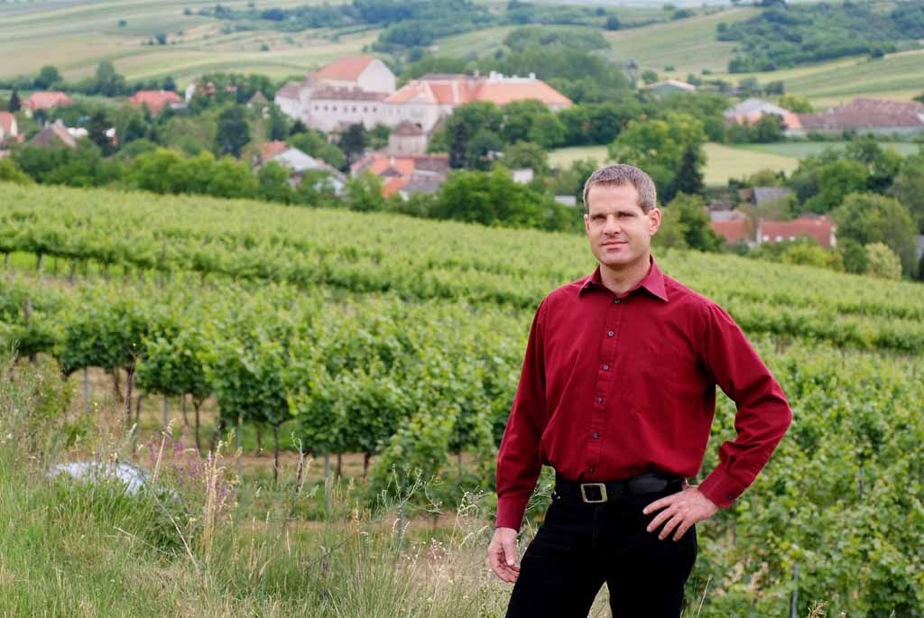 Osoba v červené košili stojí před vinicemi s vesnicí v pozadí.