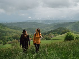Lebensweg, Wandern, Weitwandern, © Waldviertel Tourismus, Melanie Többe