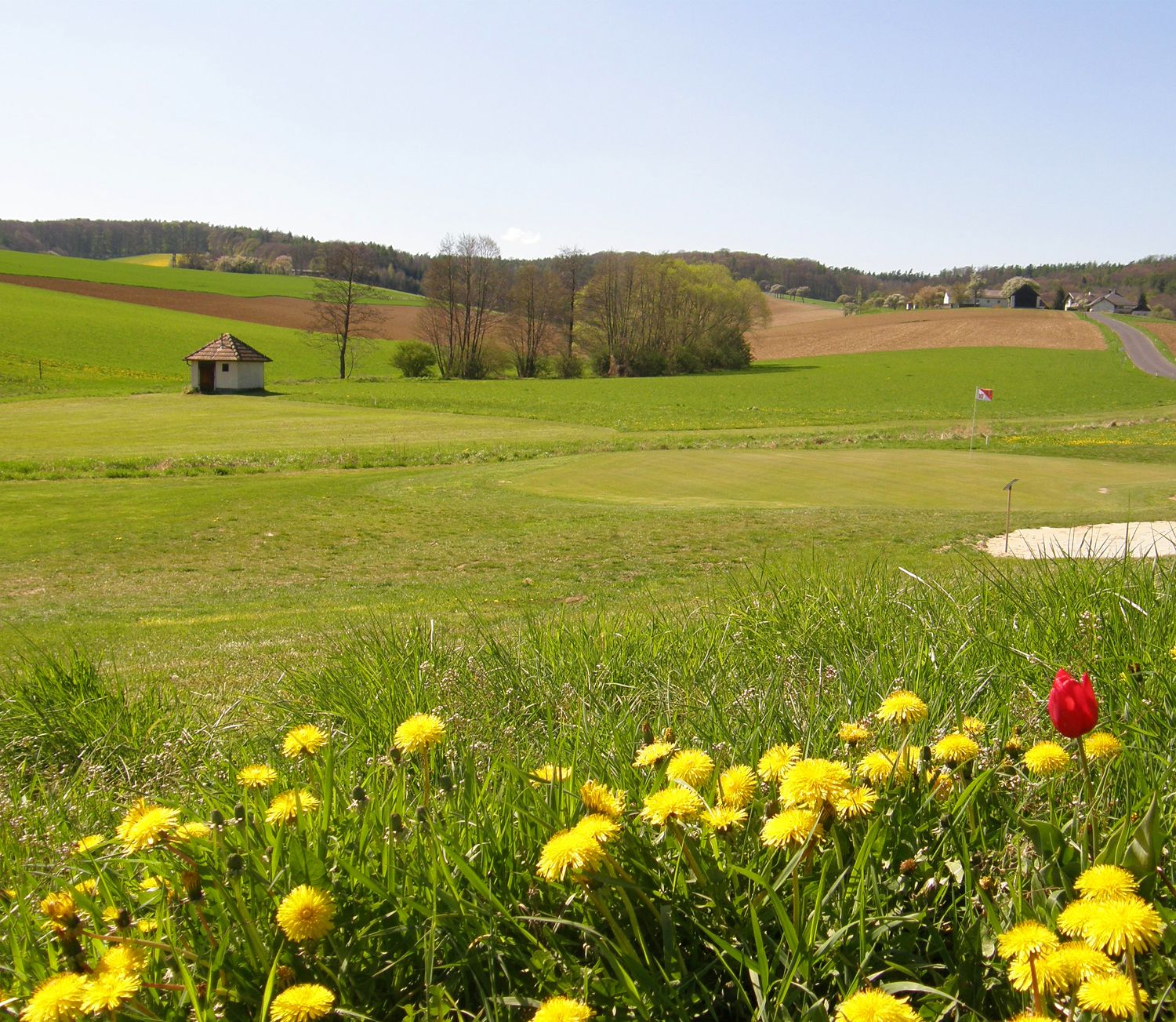 Golfové hřiště s květinami v popředí a vlajkou na greenu.