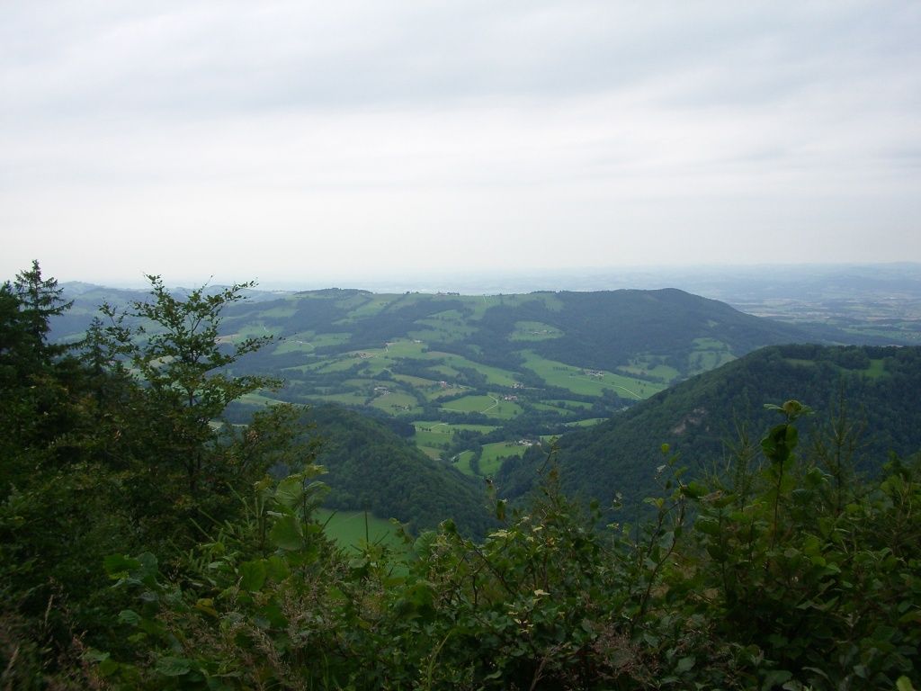 Ginselhöhe