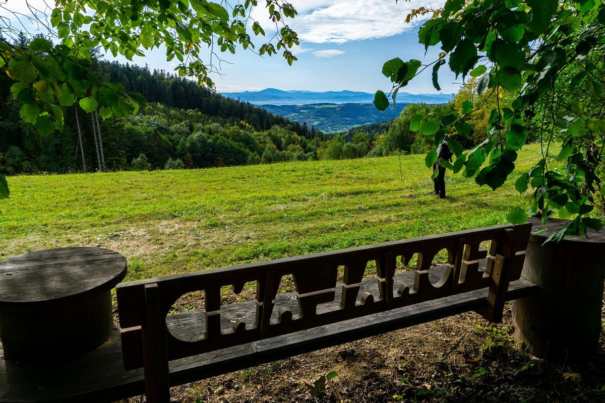 Pohled zpět do alpského podhůří před Strassreith