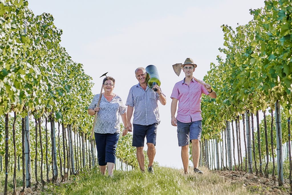 Tři lidé procházejí vinicí, nesou nářadí a usmívají se.