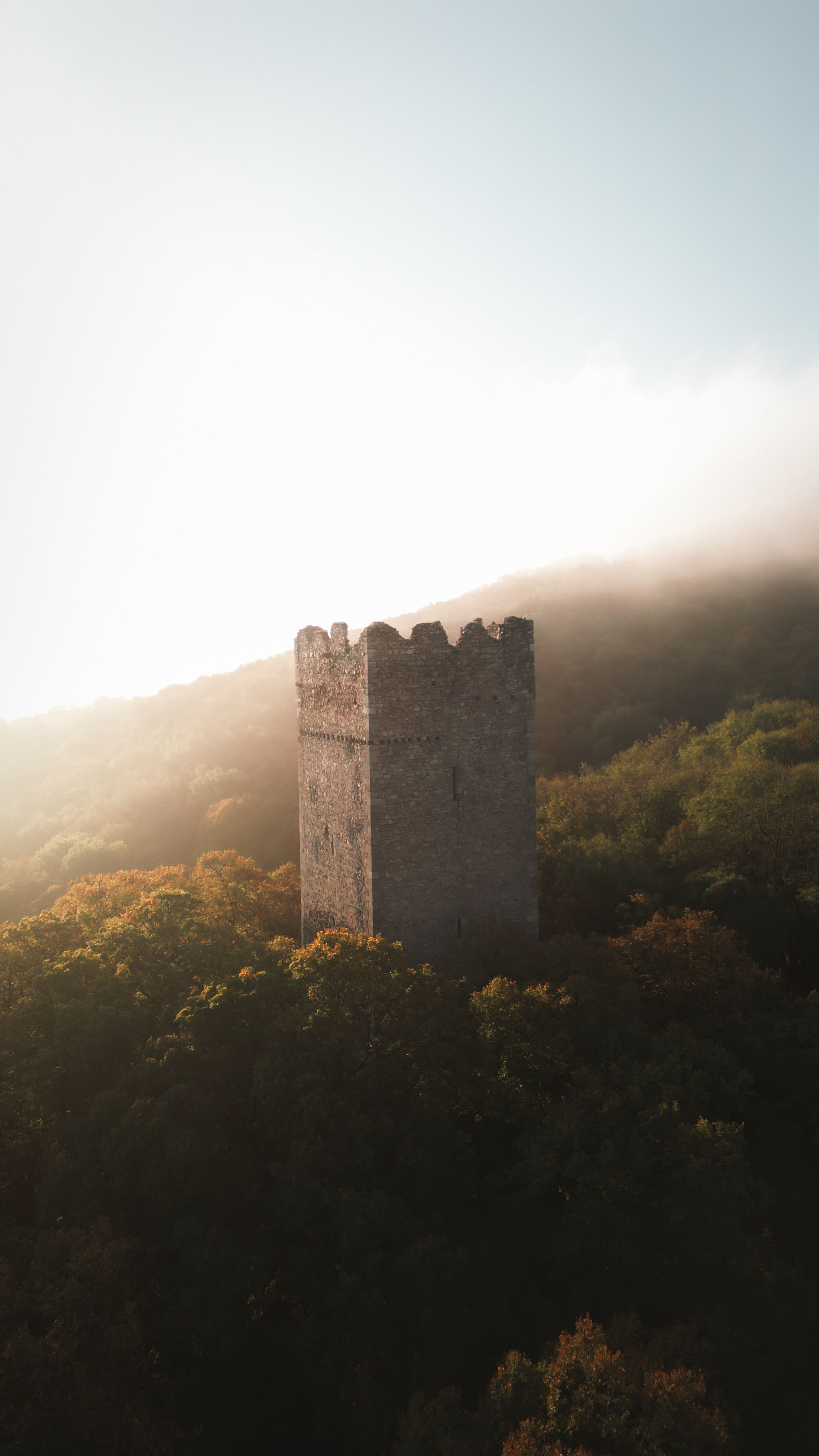 Věž hradu v lese - Pottenburg
