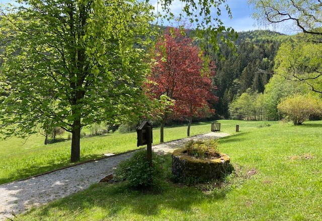 Zelený park se stromy, cestou a starou kašnou.