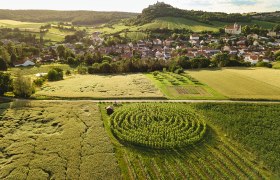Pleasure stop at the vineyard labyrinth, © Michael Reidinger