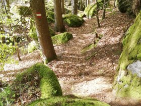 Angelbachweg, &copy; Marktgemeinde Bad Gro&szlig;pertholz