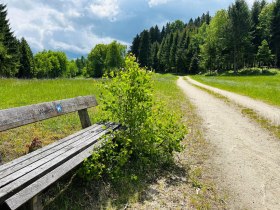 Weg bei Weitra, &copy; Unknown