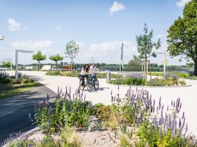 Altstadtrunde Tulln an der Donau, &copy; Donau Nieder&ouml;sterreich - Kamptal-Wagram-Tullner Donauraum