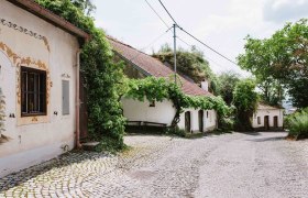 Tut Gut Route 1 Rohrendorf, &copy; Wachau-Nibelungengau-Kremstal
