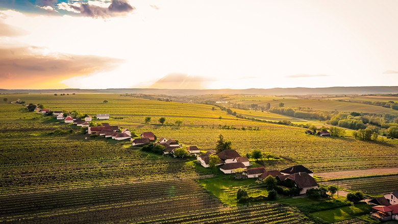 Sklepní ulička Zellerndorf, © Weinviertel Tourismus/Robert Herbst