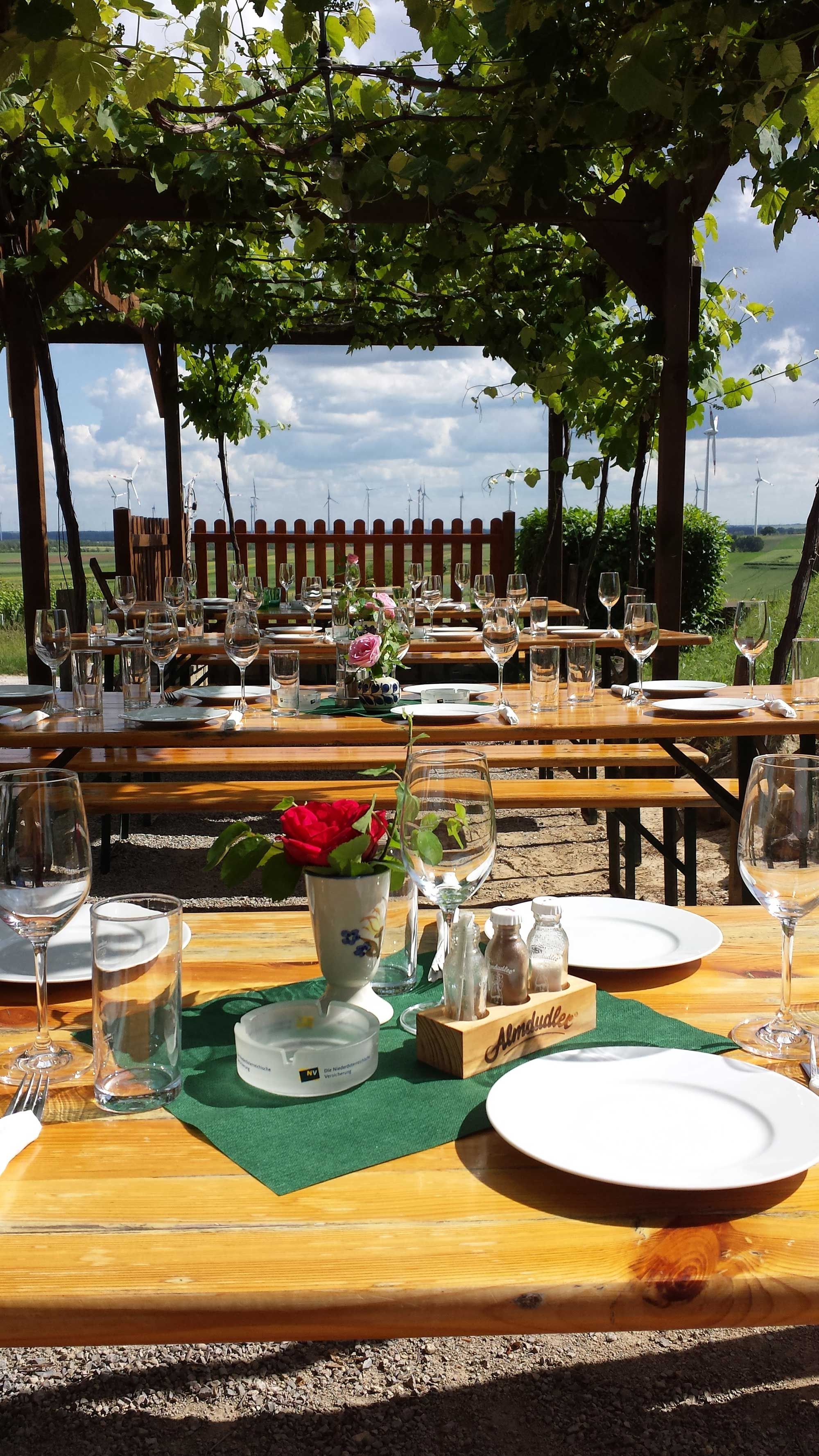 Stoly venku pod listnatým baldachýnem s výhledem na větrné turbíny v dálce.