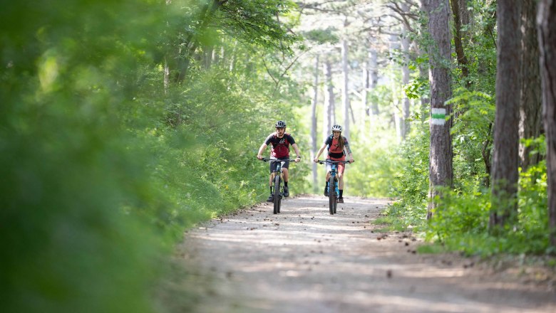 MTB Anninger, © Niederösterreich-Werbung/Markus Frühmann