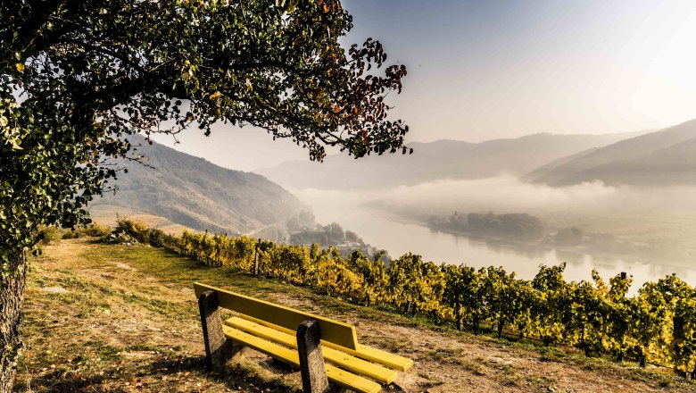 Rest area on the Tausendeimerberg in autumnal Spitz, &copy; Robert Herbst