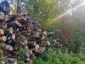 Kronau, &copy; Donau Nieder&ouml;sterreich - Kamptal-Wagram-Tullner Donauraum