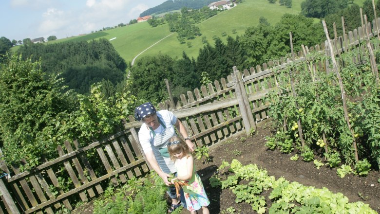 K večeři si přineseme zdravou zeleninu ze zahrady, © Dorferhof