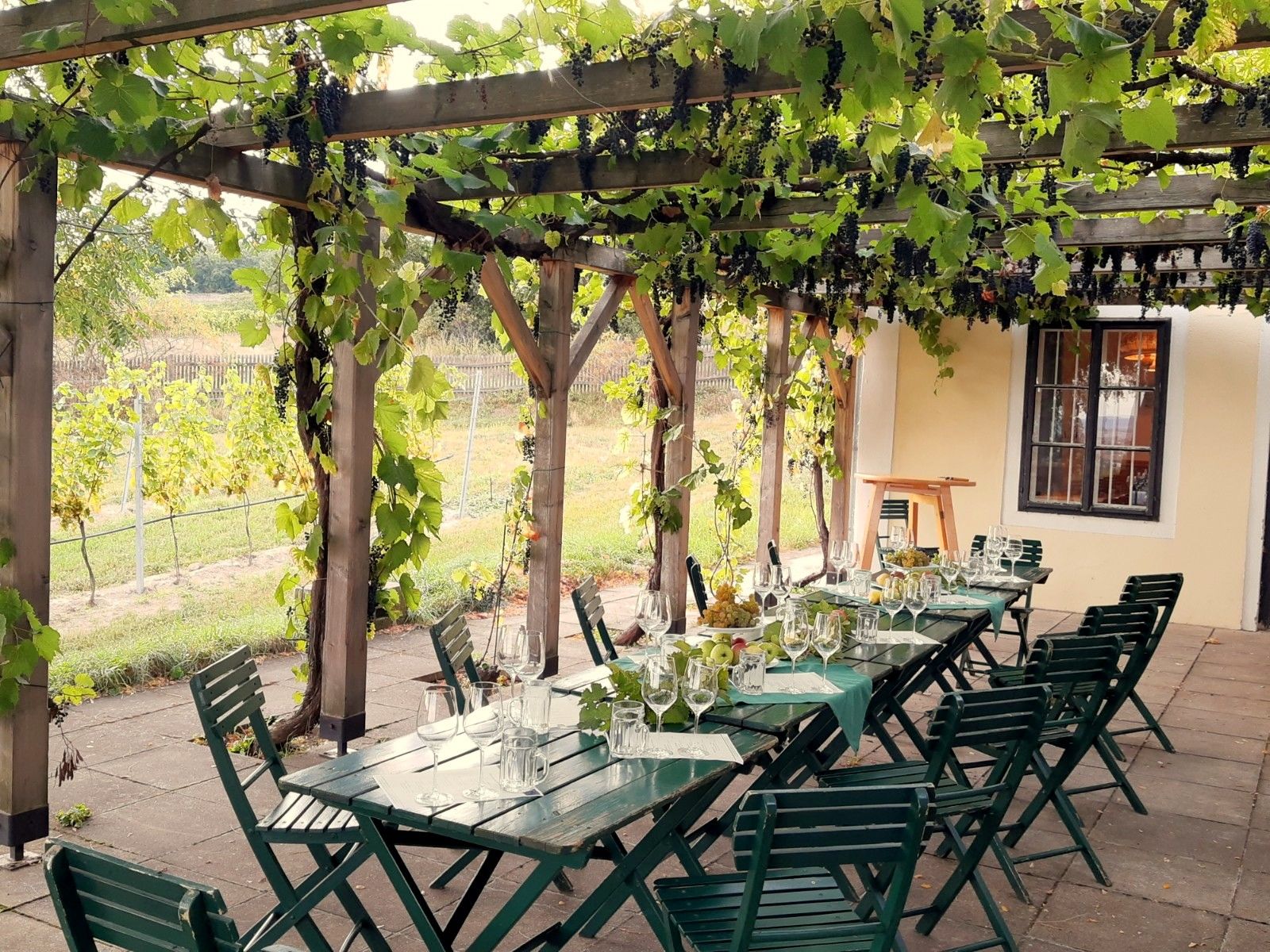 Stůl pod pergolou s vinnou révou.