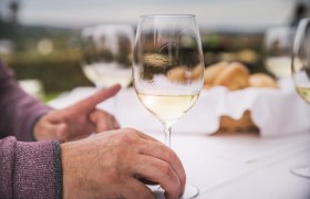 Požitek z v&iacute;na v heurigeru, &copy; Daniela Matejschek