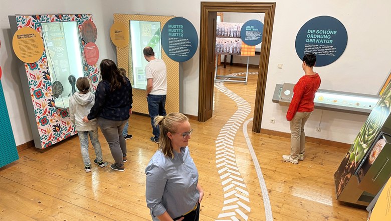 Traismauer Castle, &copy; WeinArtZone