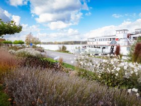 Tullner Donaugel&auml;nde, &copy; Barbara Elser