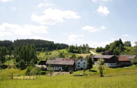 Biohof Besenbäck, © Judith und Fritz Besenbäck