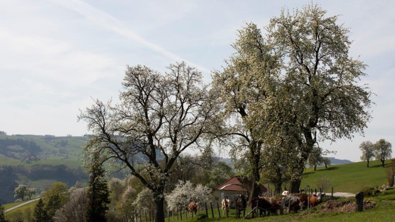 Photo point Mostviertel, &copy; schwarz-koenig.at