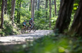 MTB Wienerwald, © Wienerwald Tourismus GmbH / Markus Frühmann