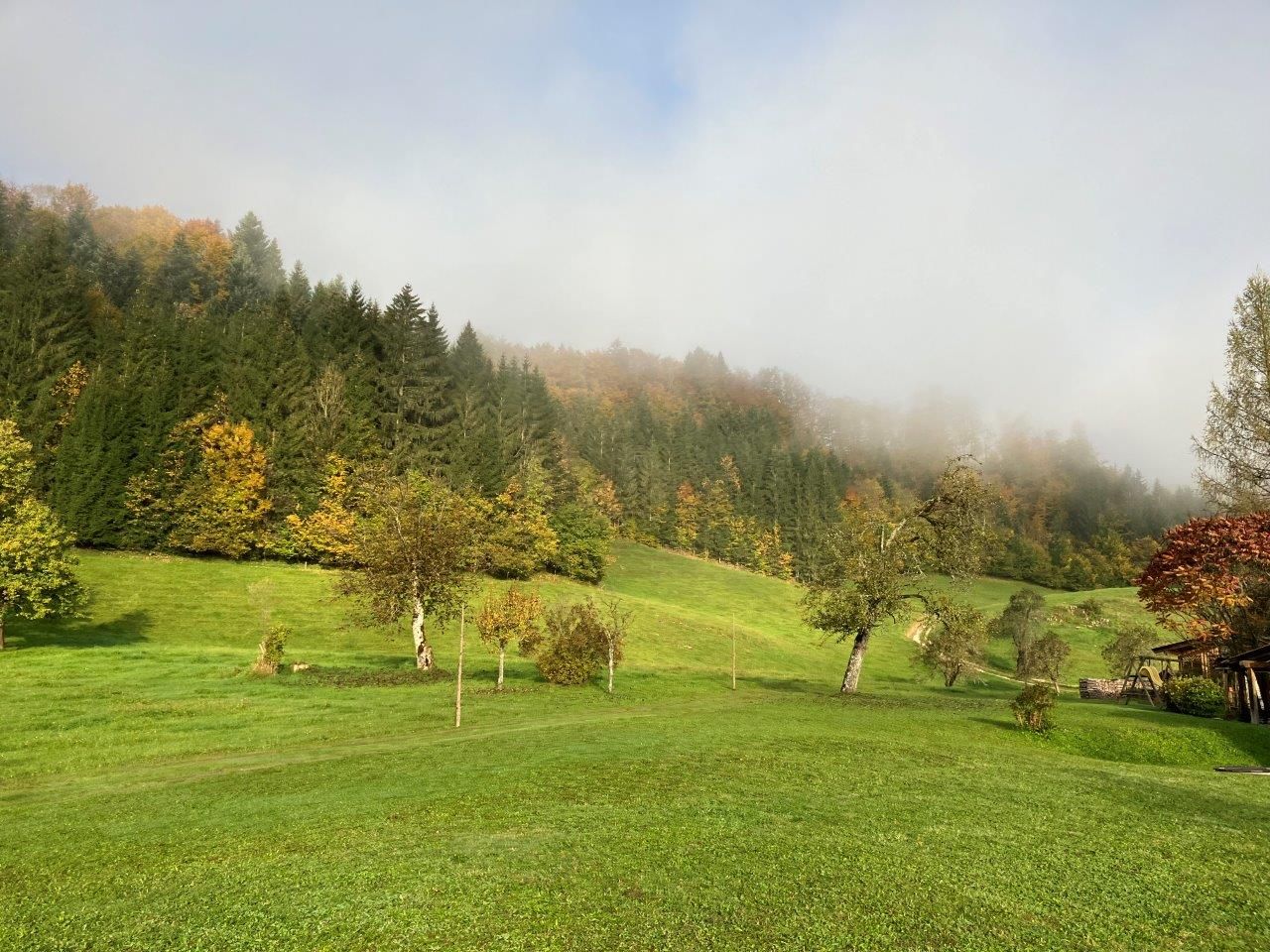 prostorná-zahrada-před-domem-na-dovolenou