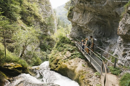 Prociťte přírodu v přírdoní rezervaci Ötscher-Tormäuer, © Andreas Jakwerth