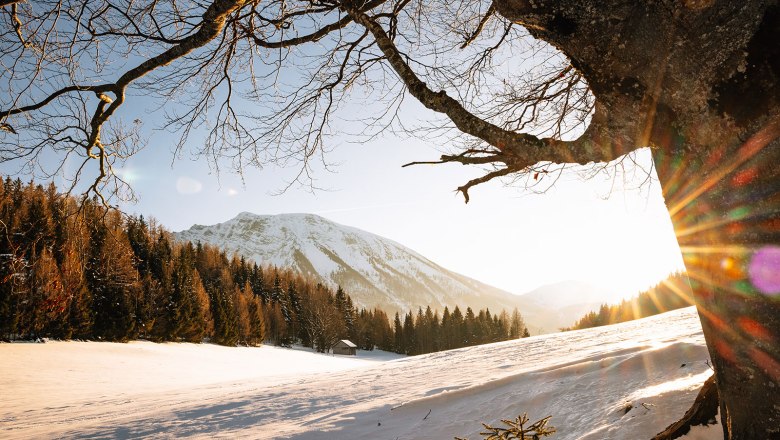 Nestelberg 17 (c)Marlene Schindlegger (1), © Sabine Wieser